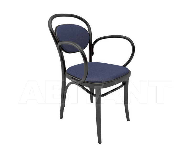 Buy Armchair TON a.s. 2015 323 020 589