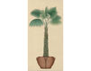 Wallpaper Iksel   Potted Palms PT 04 Oriental / Japanese / Chinese