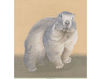 Wallpaper Iksel   Animals MARMOT 2 Oriental / Japanese / Chinese