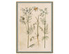 Wallpaper Iksel   Renaissance Herbier RH 7 Oriental / Japanese / Chinese