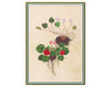 Wallpaper Iksel   Renaissance Herbier RH 22 Oriental / Japanese / Chinese