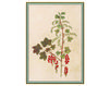 Wallpaper Iksel   Renaissance Herbier RH 20 Oriental / Japanese / Chinese