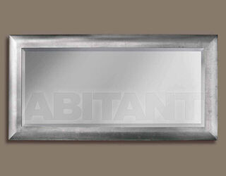 Wall mirror Metamorfosi 2023 SP 7650