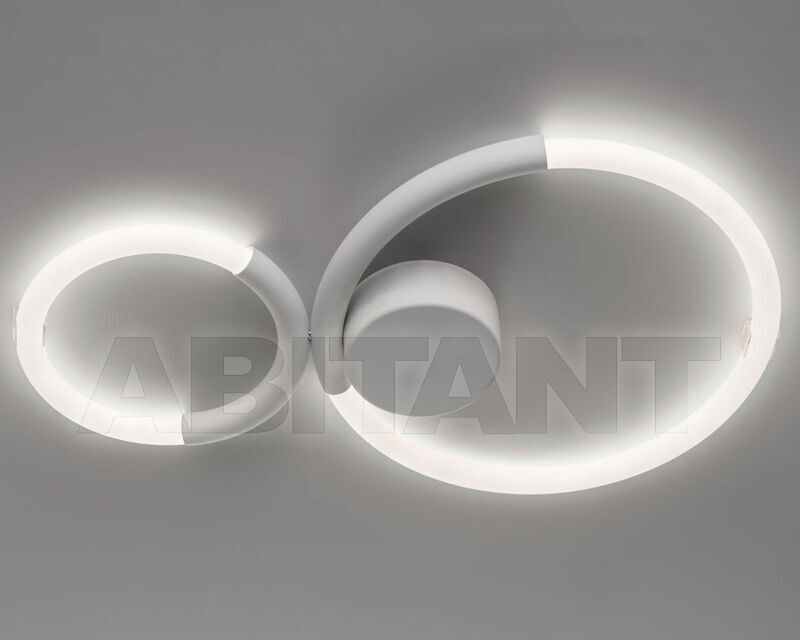 Light Loop 683/2PF price on request Buy Light Loop IDL Export 2025 683/2PF