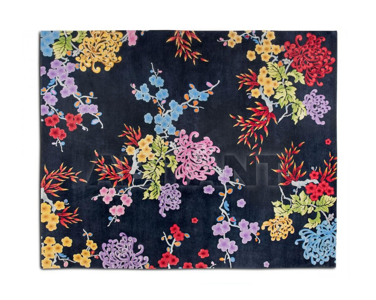 Buy Modern carpet Rug Star I Am Classic DarkGrey 